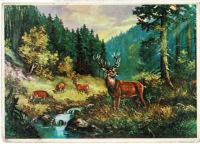 Manzara Temalı Kartpostal Büyük Boy KRT5636 - 1