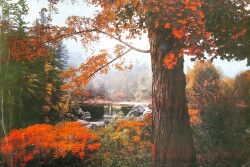 Manzara Temalı Kartpostal Büyük Boy KRT5640 - Gökçekoleksiyon