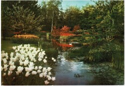 Manzara Temalı Kartpostal Büyük Boy KRT5648 - Gökçekoleksiyon