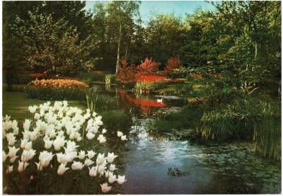 Manzara Temalı Kartpostal Büyük Boy KRT5648 - 1
