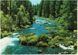 Manzara Temalı Kartpostal Büyük Boy KRT5649 - Gökçekoleksiyon