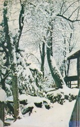 Manzara Temalı Kartpostal KRT10700 - Gökçekoleksiyon