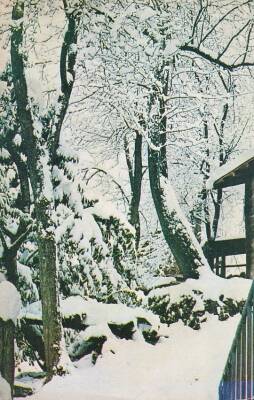 Manzara Temalı Kartpostal KRT10700 - 1