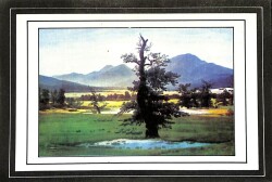 Manzara Temalı Kartpostal KRT12849 - Gökçekoleksiyon
