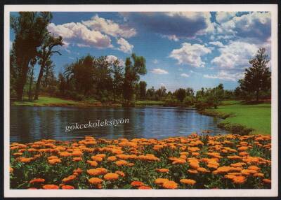 Manzara Temalı Kartpostal KRT2766 - 1
