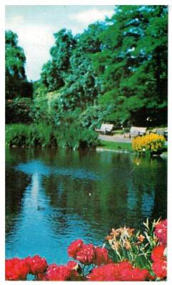 Manzara Temalı Kartpostal KRT2769 - 1