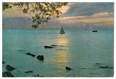 Manzara Temalı Kartpostal KRT2810 - 1
