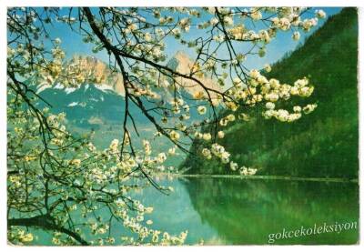 Manzara Temalı Kartpostal KRT2814 - 1