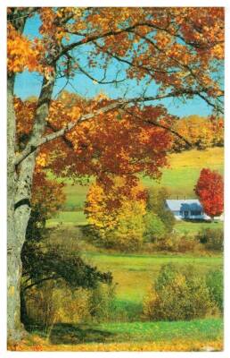 Manzara Temalı Kartpostal KRT2821 - 1