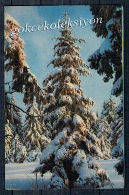 Manzara Temalı Kartpostal KRT2827 - 1