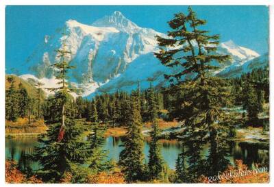 Manzara Temalı Kartpostal KRT2834 - 1