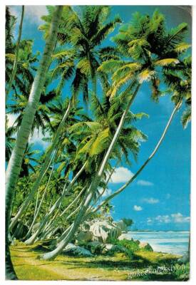Manzara Temalı Kartpostal KRT2836 - 1