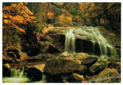 Manzara Temalı Kartpostal KRT2837 - 1