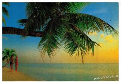 Manzara Temalı Kartpostal KRT3162 - 1