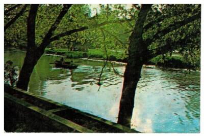 Manzara Temalı Kartpostal KRT3164 - 1