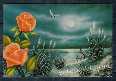 Manzara Temalı Kartpostal KRT4430 - 1