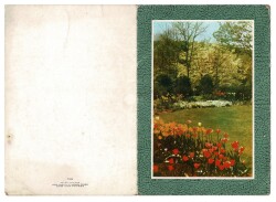 Manzara Temalı Kartpostal ( Küçük Boy) KRT9542 - Gökçekoleksiyon