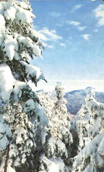 Manzara Temalı Kartpostal (Küçük Boy) KRT21398 - Gökçekoleksiyon