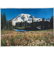 Manzara Temalı Kartpostal (Ultra Dev Boy) KRT24064 - Gökçekoleksiyon