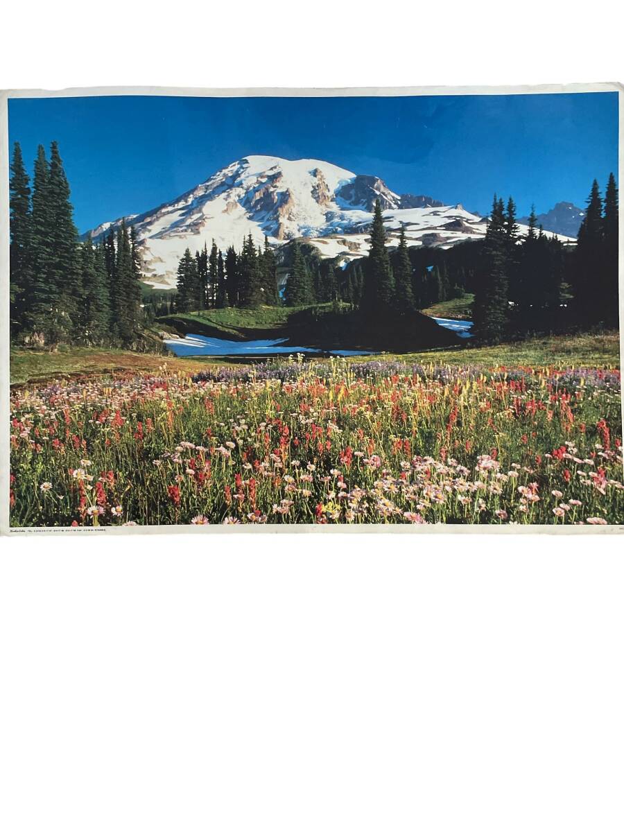 Manzara Temalı Kartpostal (Ultra Dev Boy) KRT24064 - 1