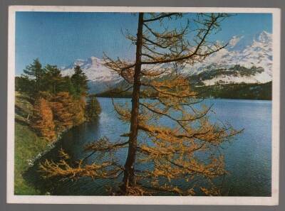 Manzara Temalı Orta Boy Kartpostal KRT2872 - 1
