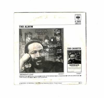 Marvin Gaye - Sexual Healing PLAK (109) PLK18922 - 2