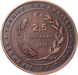 2019 - Masal Kahramalanları Serisi No:5 - Nasrettin Hoca 
