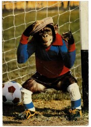 Maymun Temalı Büyük Boy Kartpostal KRT9136 - Gökçekoleksiyon