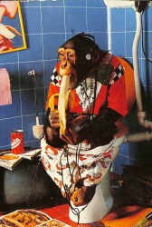 Maymun Temalı Kartpostal KRT12412 - Gökçekoleksiyon