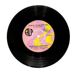 Neşe Karaböcek - Bana Çok Mu Görüyorsun / Benim de Canım Var PLAK (10/7) PLK23933 - Gökçekoleksiyon
