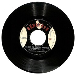 Mehmet Bozdoğan - Ana Beni Yol Üstünde Vurdular / Bir Dalda Uzamış Sarmaşık Gibi Plak (10/7.5) PLK19674 - 1
