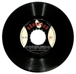 Mehmet Bozdoğan - Ana Beni Yol Üstünde Vurdular / Bir Dalda Uzamış Sarmaşık Gibi Plak (10/7.5) PLK19674 - 2