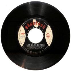 Mehmet Bozdoğan - Su Leyla Leyla / Sana Gelmek İstiyorum Plak (10/6.5) PLK26127 - 2