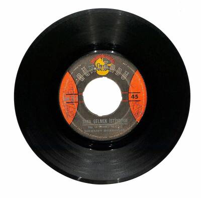 Mehmet Bozdoğan - Su Ver Leyla / Sana Gelmek İstiyorum Plak (10/6.5) PLK20960 - 2
