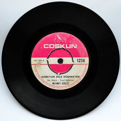 Mehmet Güçlü - Korktum Dile Düşmekten PLK4930 - 1