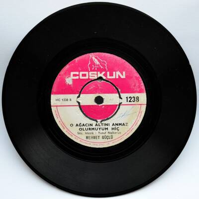 Mehmet Güçlü - Korktum Dile Düşmekten PLK4930 - 2