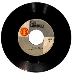 Neşe Karaböcek - Koca Dünya / Atsan Atılmaz Satsan Satılmaz Plak (10/6) PLK25396 - Gökçekoleksiyon