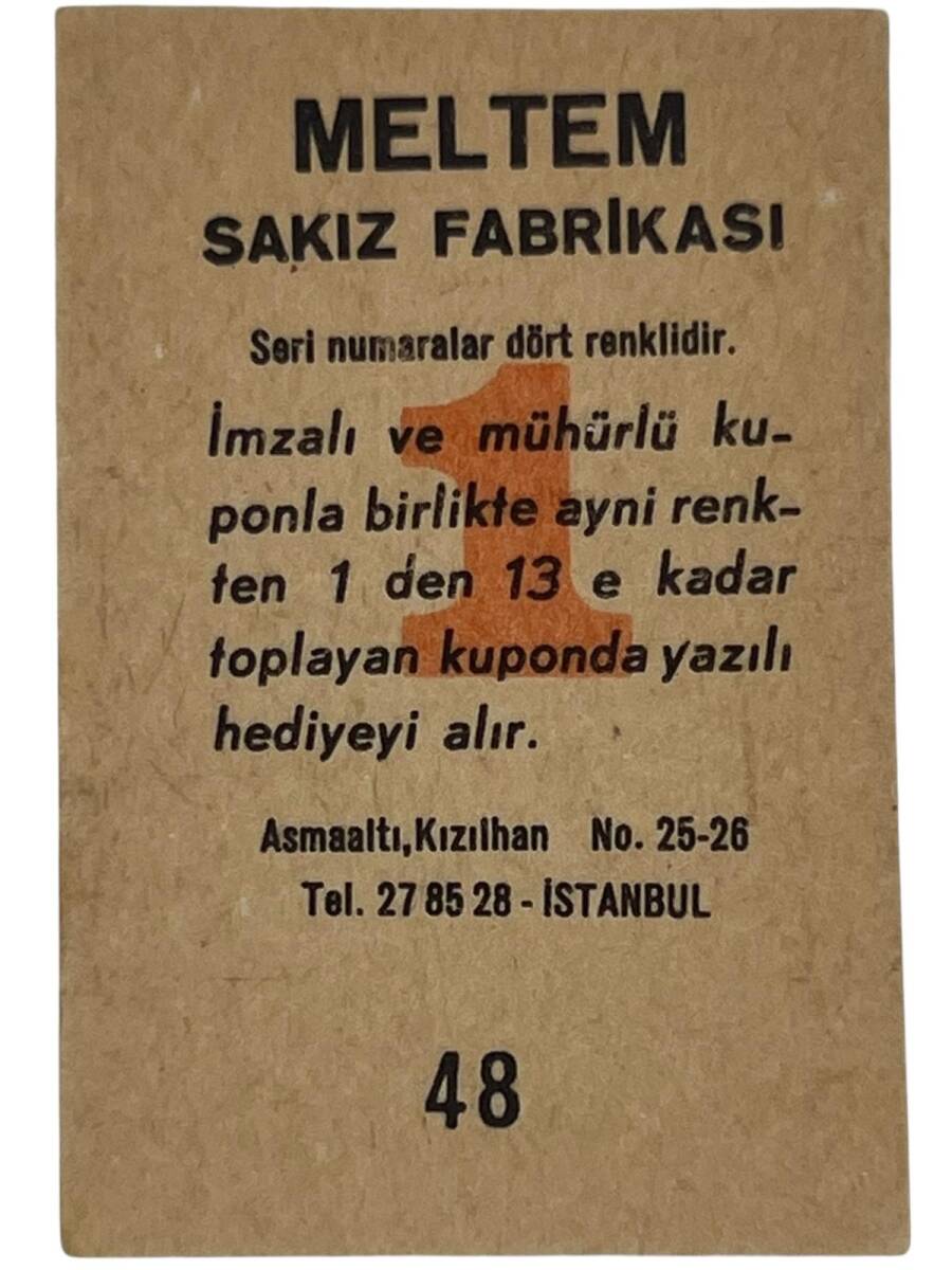 MELTEM Sakızı Kartları No 48 FİLİZ AKIN # SKZ1615 - 2