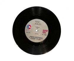 Neşe Alkan - Boşuna Aldanmışım / İnsan Neler Görüyor PLAK (10/7.5) PLK24523 - Gökçekoleksiyon