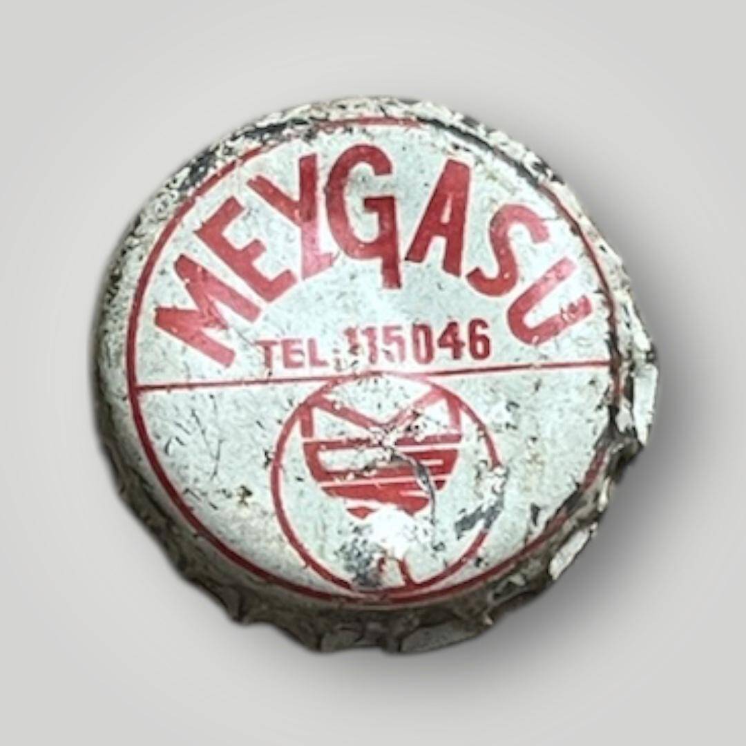 MEYGASU Gazoz Kapağı CMK2-1216 - 1
