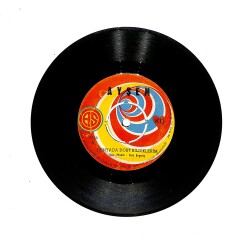 Ayşem - Dünyada Dost Bildiklerim - Ne Senin Talihin Var PLAK (10/8) PLK25723 - Gökçekoleksiyon