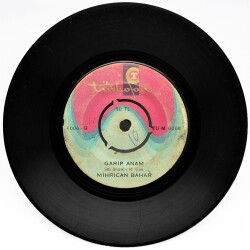 Mihrican Bahar - Emmioğlu (107) PLK9636 - 2