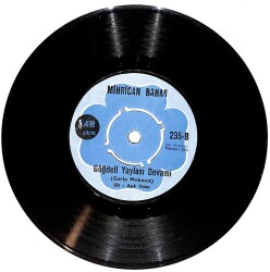 Aşık Gülabi & Mihrican Bahar - Göğdeli Yaylası / Göğdeli Yaylası Devamı PLAK (10/6) PLK24770 - Gökçekoleksiyon