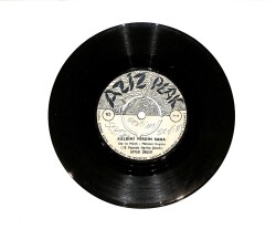 Ayfer Ünler - Kalbimi Verdim Sana / Bebek Oy PLAK (10/5.5) PLK23441 - Gökçekoleksiyon