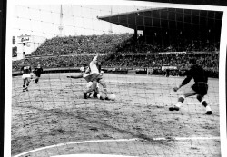 Milli Maç Polonya 1964 Kartpostal (Orta Boy) KRT19929 - Gökçekoleksiyon