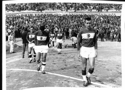 Milli Takım 1964 Kartpostal (Orta Boy) KRT19925 - Gökçekoleksiyon