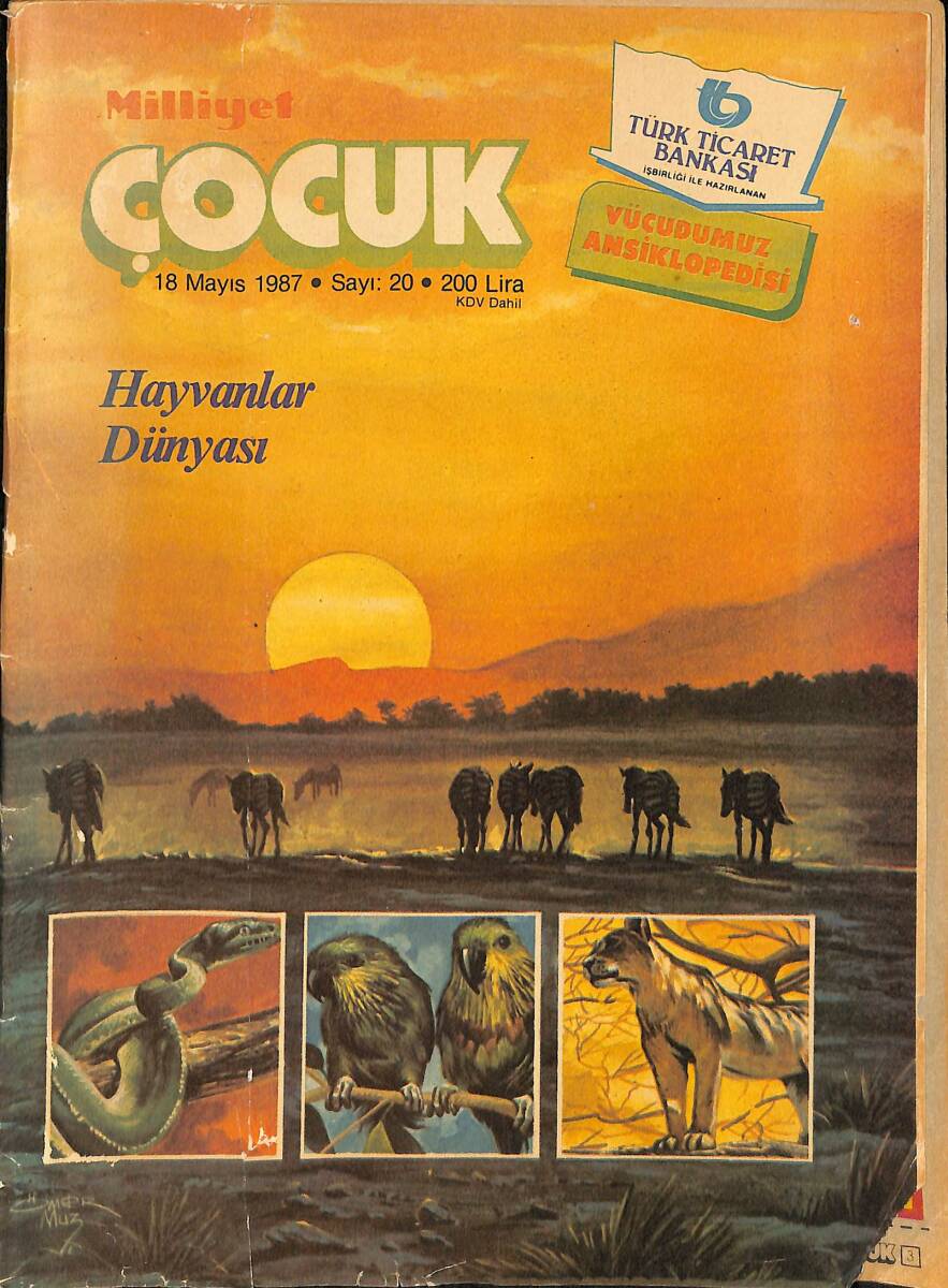 Milliyet Çocuk 18 Mayıs 1987 Sayı: 20 - Ten Ten 