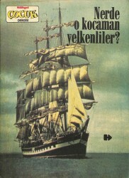 MİLLİYET ÇOCUK DERGİSİ 1975 Red Kit Ve Daltonlar, Şampiyon, Pembe Panter NDR72640 - Gökçekoleksiyon