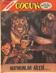 Milliyet Çocuk Sayı: 60 - Red Kit - Deniz Altında 20 Bin Fersah - Michel Vaillant 