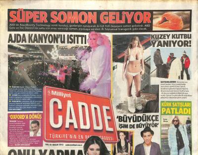Milliyet Gazetesi Cadde Eki 25 Aralık 2012 - Ajda Pekkan Kanyonu Isıttı - Kuzey Kutbu Yanıyor GZ116449 - 1